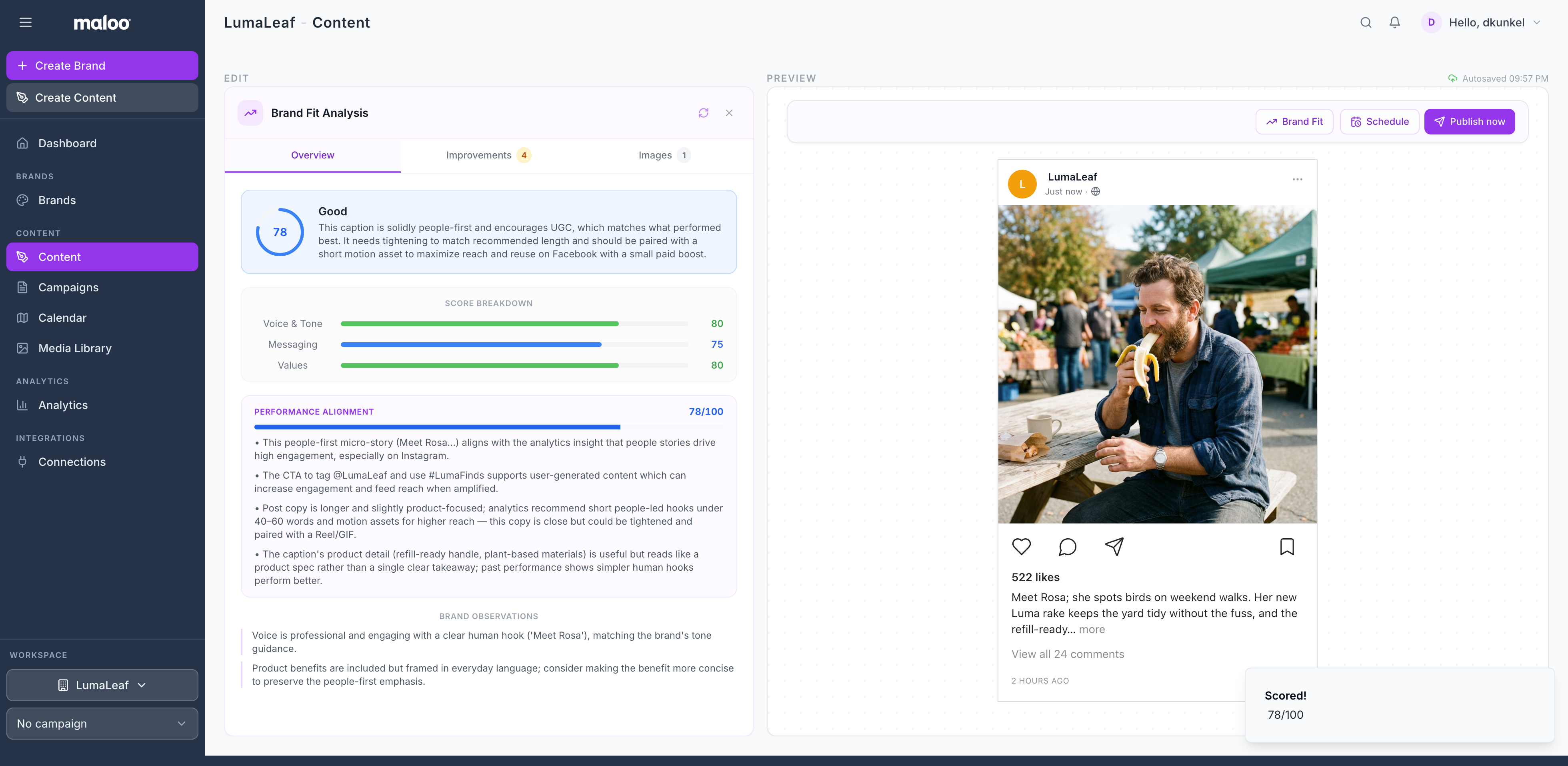 Maloo brand fit analysis showing content scoring and recommendations