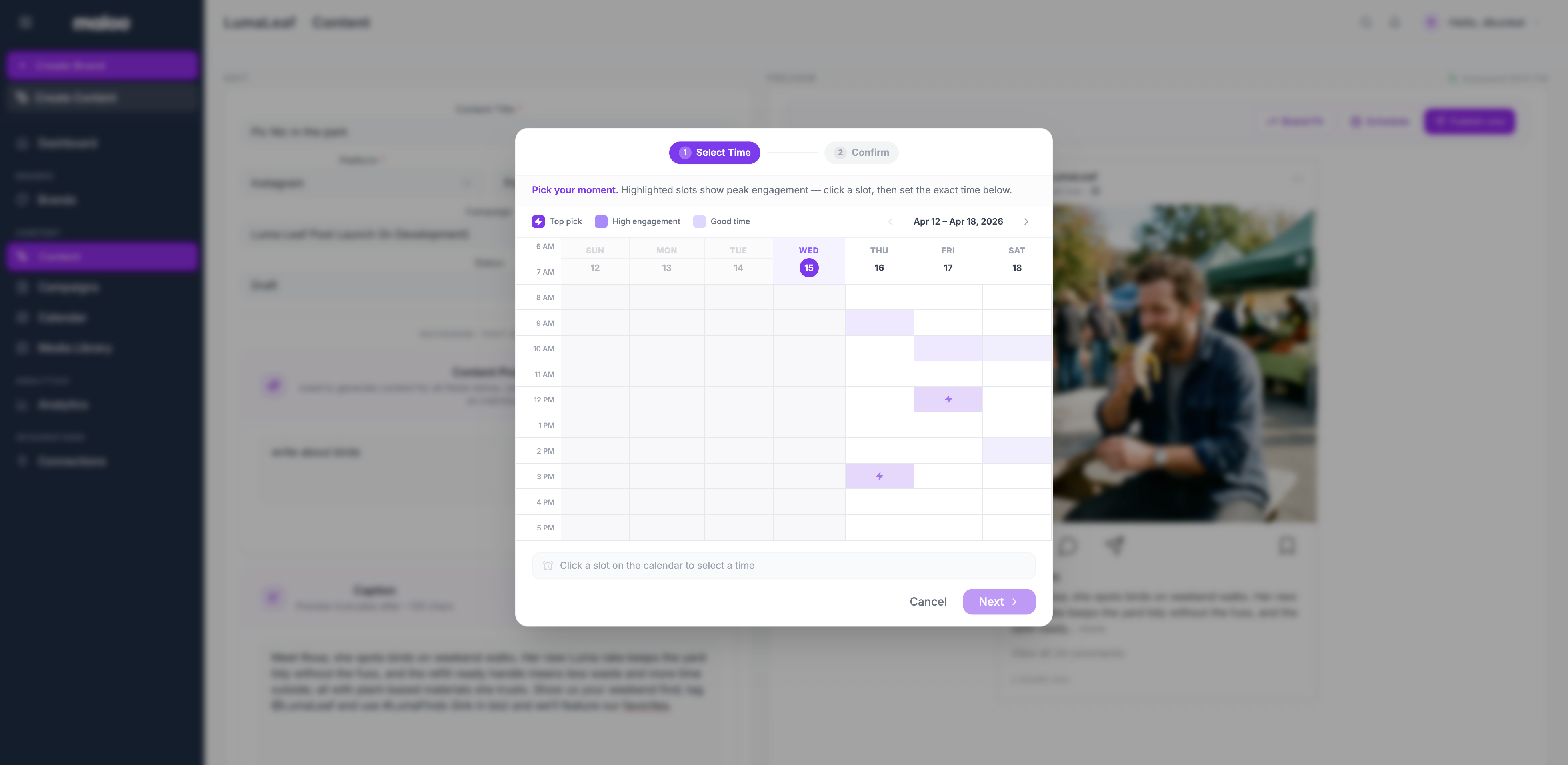 Maloo scheduling interface with best time picker and engagement heatmap